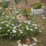 λιόφωτο Διαμέρισμα